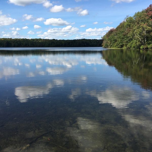 Little Hickory Lake, Poyntelle, PA