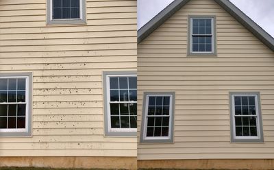 renu softwash house cleaning