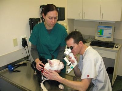 Mr. Blue Willie getting checked out