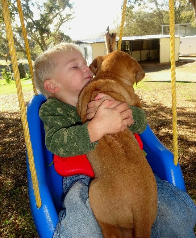 Inseperable! Our pups are truly toddler and family conditioned.