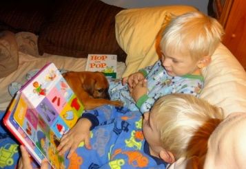 Bed time stories and lots of puppy snuggles!