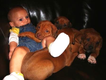 Oh the joy of babies and puppy breath. Does it get any better than that?