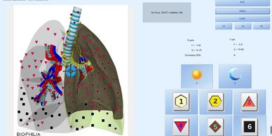 Biophilia consists of a database which houses all frequencies of pathogens, microorganisms, and heal
