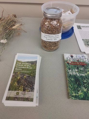 weed management workshop in progress