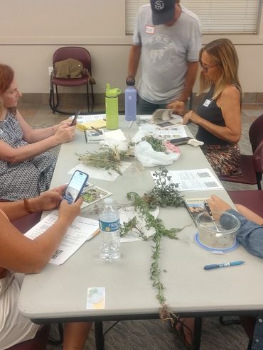 weed management workshop in progress