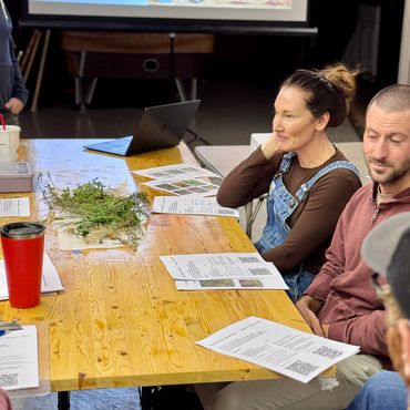 weeds workshop in progress