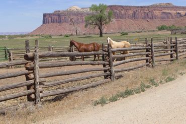Utah horse corral on a ranch near Canyonlands National Park