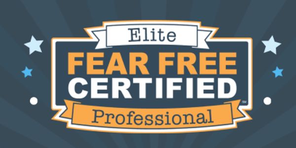 Fear Free Training