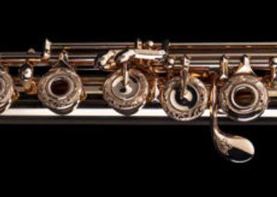 Di Zhao handmade flute - ,models DZ G14, DZ S-S, DZ-D-S, DZ-D-SP, and D-SPX are Boston's finest pro
