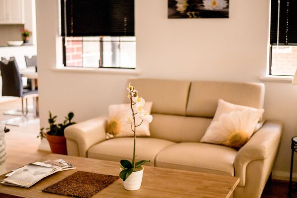 Sofa under table where plant is placed on table