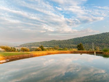 Lake View, Countryside, Up State NY, Property Management, Catskill Mountains