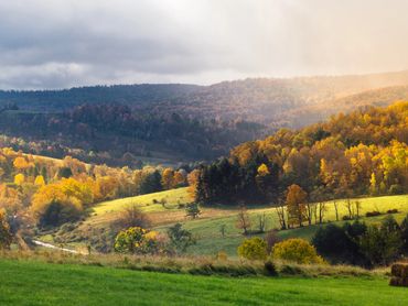 Mountain View, Country Side, Catskill Mountains, Up State NY, Property Management