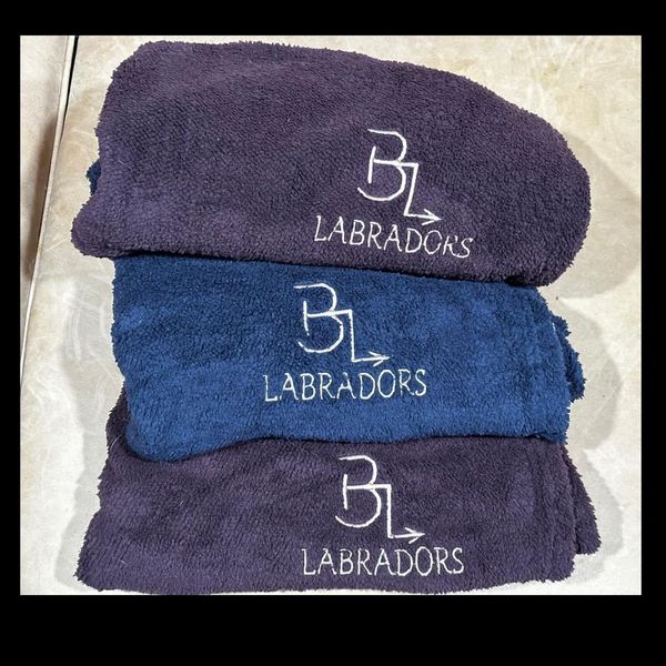 Fleece blanket with embroidered logo
$20
