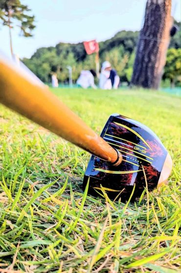 Golf club lying on grass with blurred background.