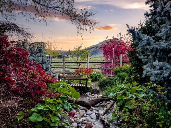 Idaho native plant landscaping