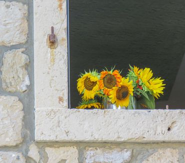 Sunflowers in an ancient window.