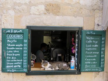 A contented cat sits in a cafe window in Dubrovnik.