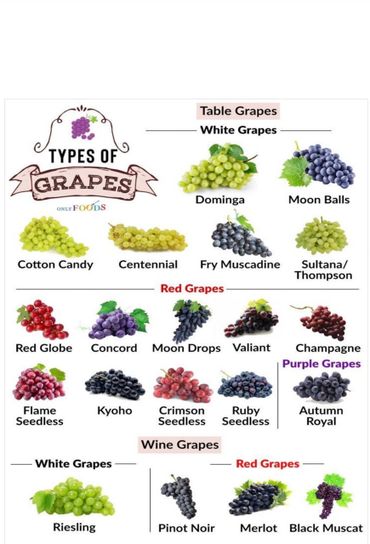 Various types of table and wine grapes categorized by color and use.