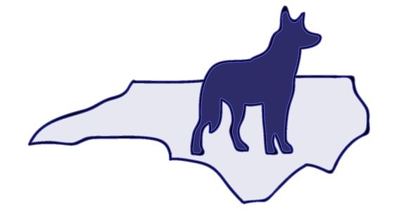 Tarheel Canine by Jerry Bradshaw