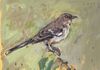 Mockingbird. Oil on canvas.