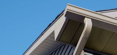Gutters, soffit and downspouts.