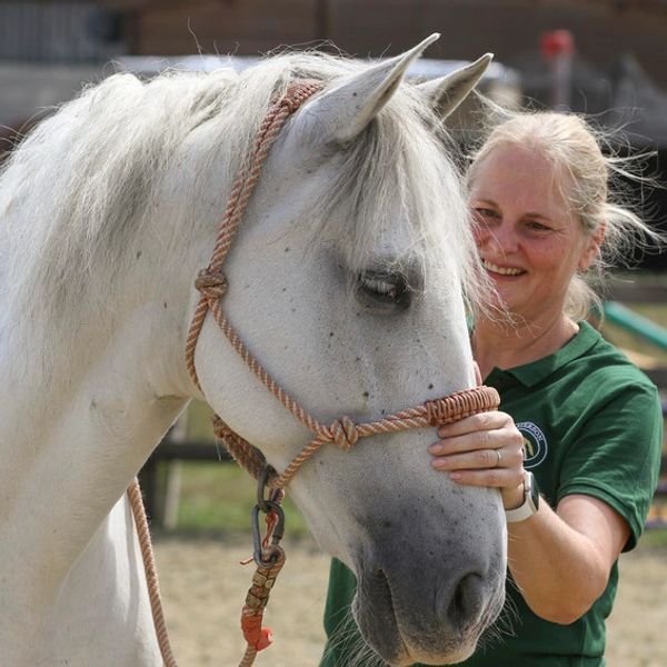 Monika Ermann Masterson Method Certified Practitioner Oxfordshire UK