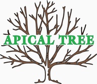 Apical Tree