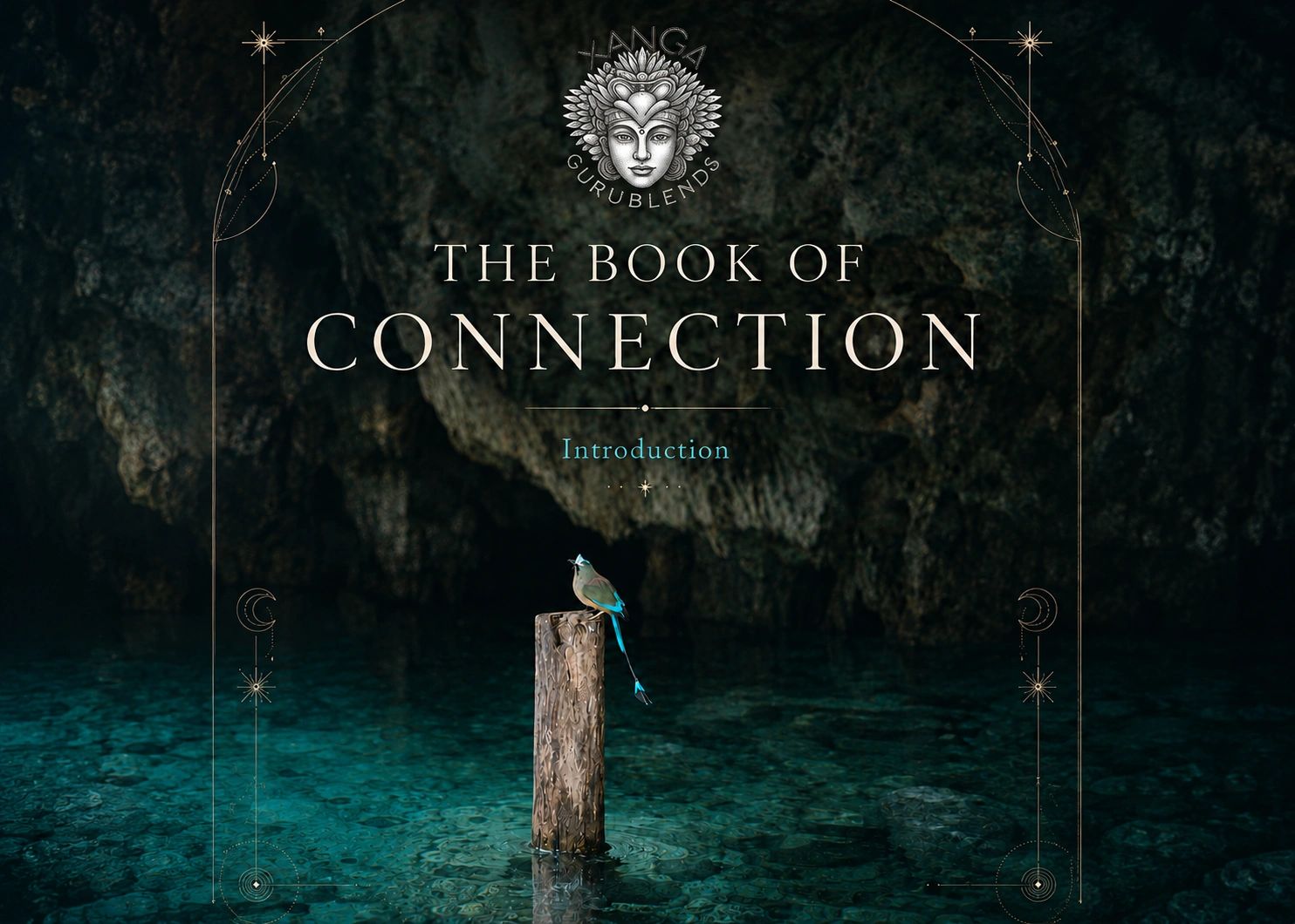 COVER OF THE BOOK OF CONNECTION. A DOWNLOADABLE FREE PDF as orientation, preparation, integration
