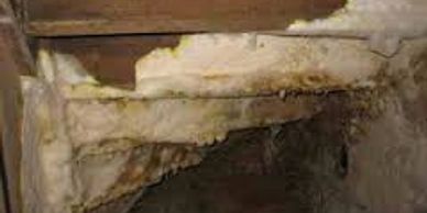 dry rot in timber stair case, Liverpool