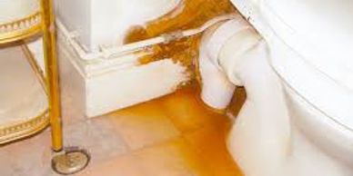 Dry rot and damp fungus Liverpool
