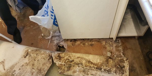 Dry Rot and Damp Proofing Liverpool