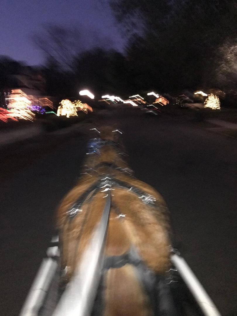 Draft horse pulling carriage headed down the street at night with the holiday lights