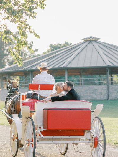 a draft horse pulling a bride and groom in the white vis-a-vis carriage