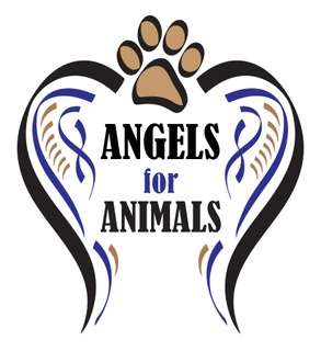 Angels For Animals