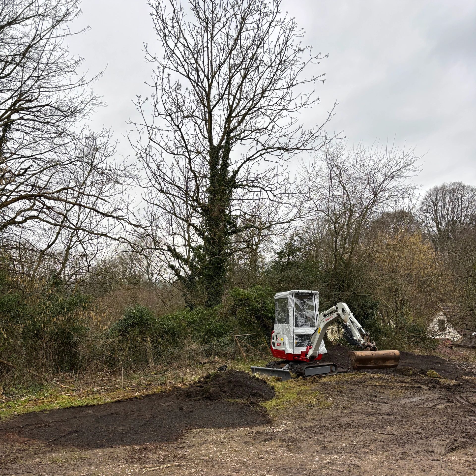 A small excavator parked on a dirt clearing near leafless trees.