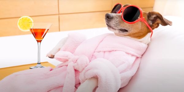 Relaxing and newly remodeled lodging in Indianapolis, IN