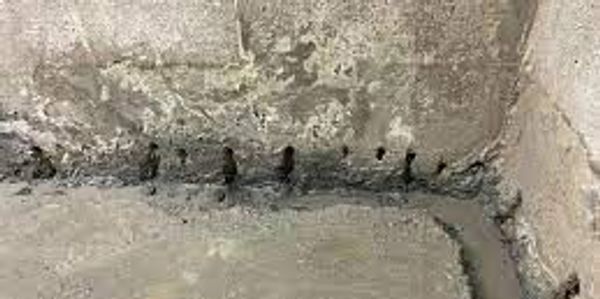 Réparation de fissures de béton