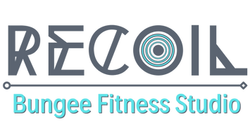 Recoil Bungee Gym