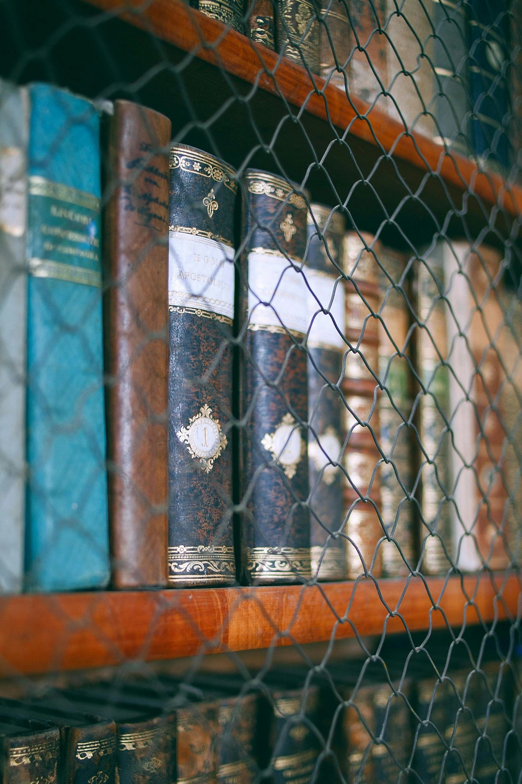 Vintage books with ornate covers behind a wire mesh on wooden shelves.