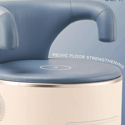 The Ultra Tesla Seat