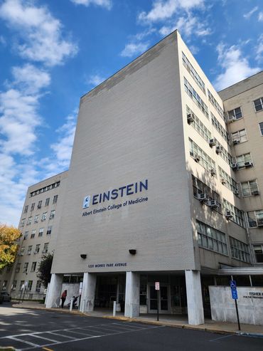 Yeshiva University - Bronx NY