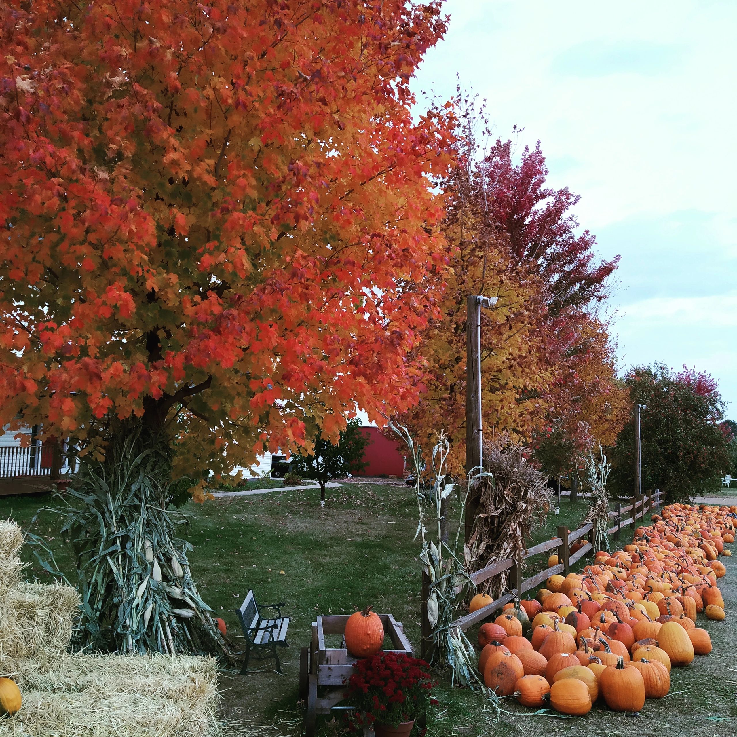 FALL is here! Check our FALL ACTIVIES!