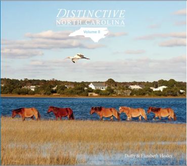 Wild horses walking along a water body in North Carolina.