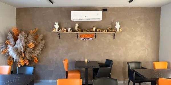 Decoratieve techniek Rifine op contrastmuur in Brakel