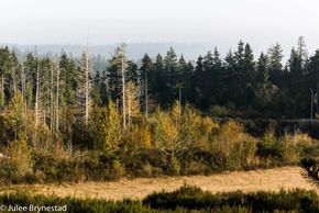 HORIZON
10-23-18
Poulsbo, WA
(ISO 400, 55 mm, f/20, 1/100 sec)
