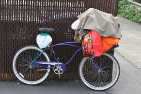 HOMELESS BIKE
10-23-18
Poulsbo, WA
(ISO 400, 55 mm, f/11, 1/100 sec)
