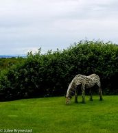 Driftwood Horse
11-29-80
Point No Point Park, WA
(ISO 200, 23 mm, f/8, 1/1000 sec)