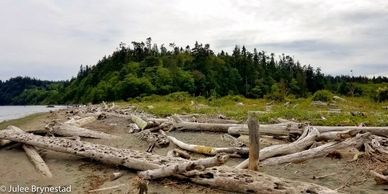 Zoom, Take 2
11-29-18
Point No Point Park, WA
(ISO 50, 4.25 mm, f/1.7, 1/5000 sec)