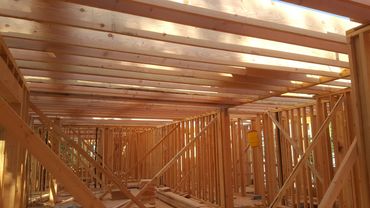 Commercial Multi-Family Building