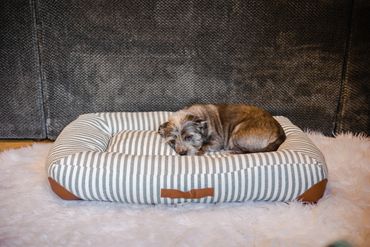pet beds on sale